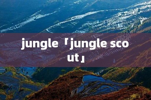 jungle「jungle scout」