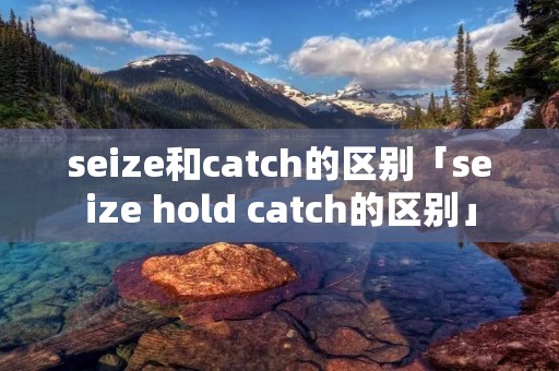 seize和catch的区别「seize hold catch的区别」