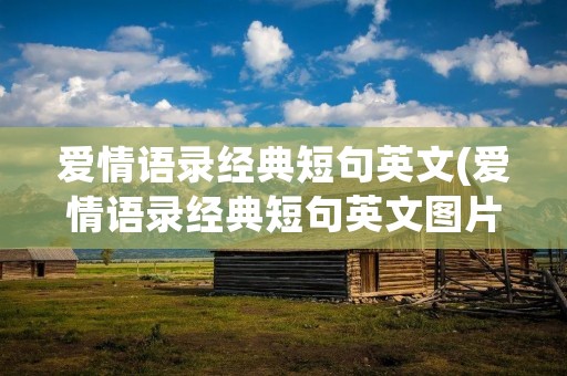 爱情语录经典短句英文(爱情语录经典短句英文图片)