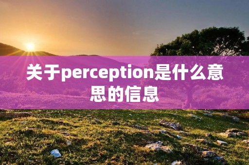 关于perception是什么意思的信息