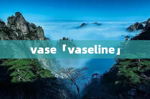 vase「vaseline」