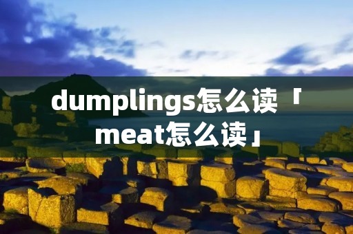 dumplings怎么读「meat怎么读」