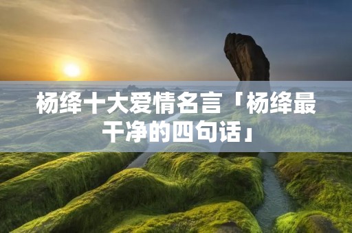 杨绛十大爱情名言「杨绛最干净的四句话」
