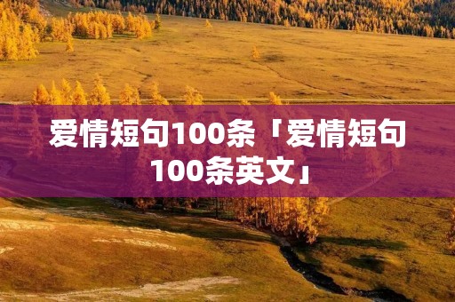 爱情短句100条「爱情短句100条英文」