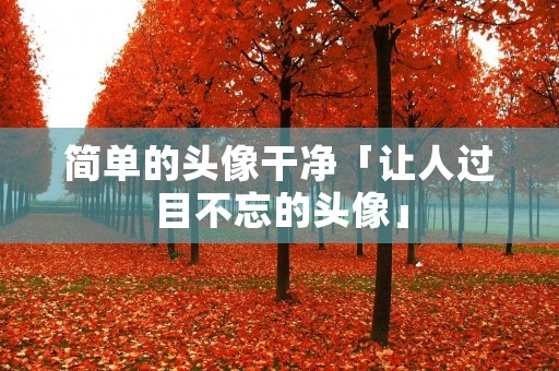 简单的头像干净「让人过目不忘的头像」