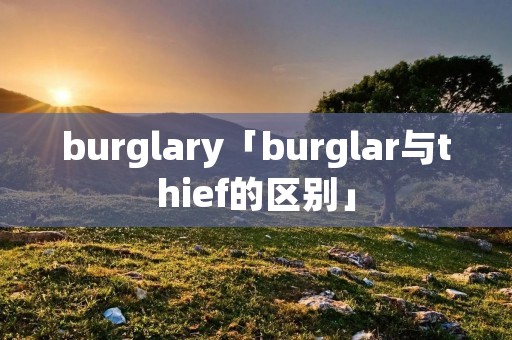 burglary「burglar与thief的区别」