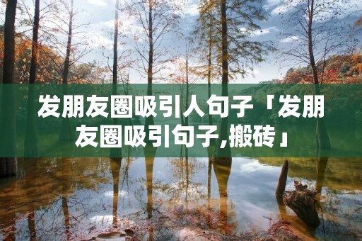 发朋友圈吸引人句子「发朋友圈吸引句子,搬砖」