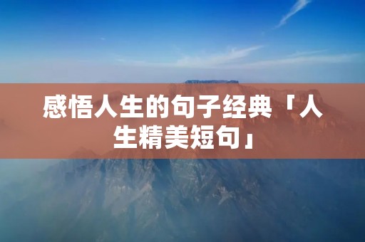 感悟人生的句子经典「人生精美短句」