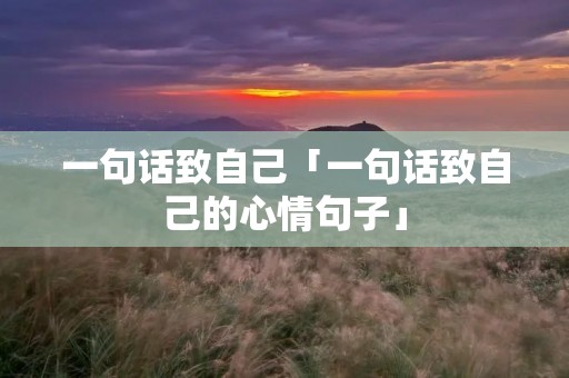 一句话致自己「一句话致自己的心情句子」