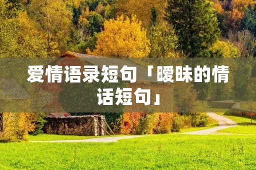 爱情语录短句「暧昧的情话短句」