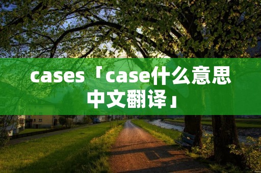 cases「case什么意思中文翻译」