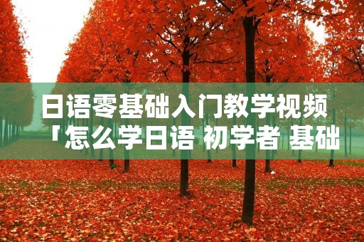 日语零基础入门教学视频「怎么学日语 初学者 基础」