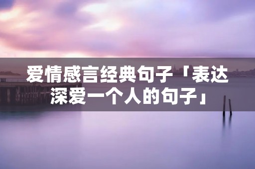 爱情感言经典句子「表达深爱一个人的句子」