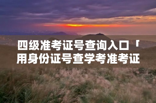 四级准考证号查询入口「用身份证号查学考准考证号」 四级准考证号查询入口「用身份证号查学考准考证号」