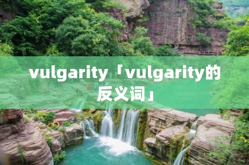 vulgarity「vulgarity的反义词」