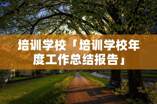 培训学校「培训学校年度工作总结报告」