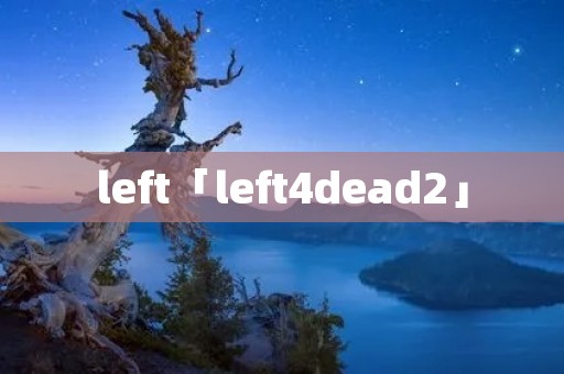left「left4dead2」