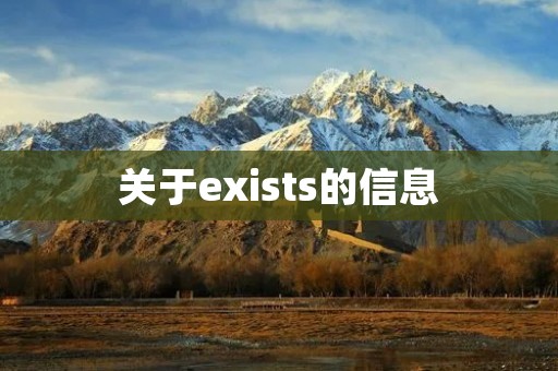 关于exists的信息