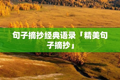 句子摘抄经典语录「精美句子摘抄」