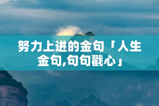 努力上进的金句「人生金句,句句戳心」