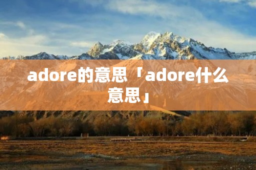 adore的意思「adore什么意思」