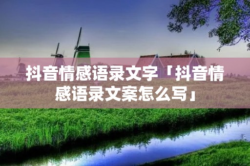 抖音情感语录文字「抖音情感语录文案怎么写」