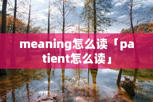 meaning怎么读「patient怎么读」
