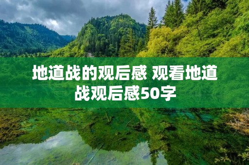 地道战的观后感 观看地道战观后感50字 地道战的观后感 观看地道战观后感50字