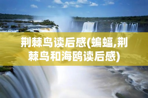 荆棘鸟读后感(蝙蝠,荆棘鸟和海鸥读后感)