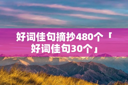 好词佳句摘抄480个「好词佳句30个」