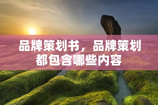 品牌策划书，品牌策划都包含哪些内容
