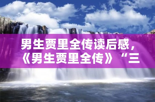 男生贾里全传读后感,《男生贾里全传》“三足鼎立”读后感