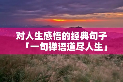 对人生感悟的经典句子「一句禅语道尽人生」