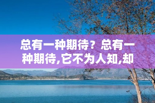 总有一种期待？总有一种期待,它不为人知,却日日萦绕心头……什么意思