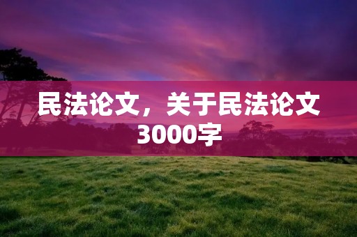 民**文，关于民**文3000字