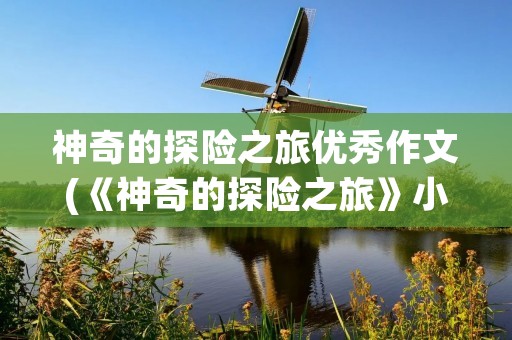 神奇的探险之旅优秀作文(《神奇的探险之旅》小学满分作文) 神奇的探险之旅优秀作文(《神奇的探险之旅》小学满分作文)