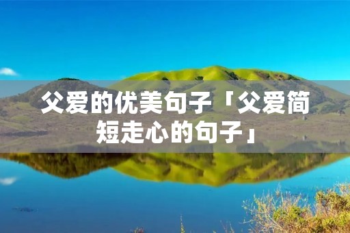 父爱的优美句子「父爱简短走心的句子」