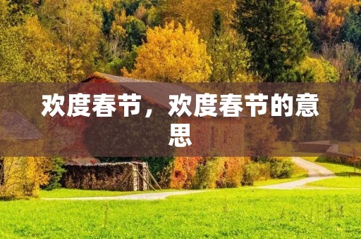 欢度春节，欢度春节的意思