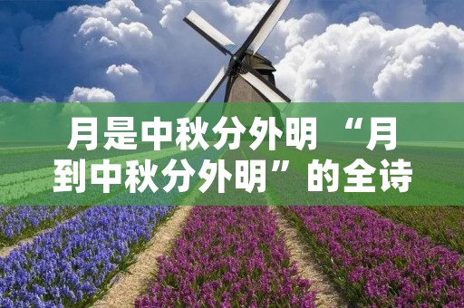 月是中秋分外明 “月到中秋分外明”的全诗是什么 月是中秋分外明 “月到中秋分外明”的全诗是什么