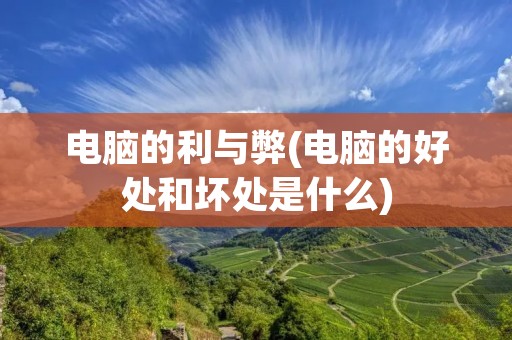 电脑的利与弊(电脑的好处和坏处是什么)