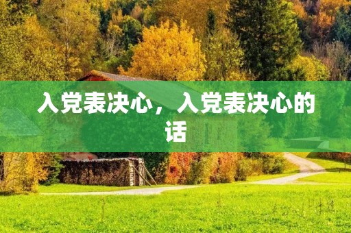 入党表决心，入党表决心的话