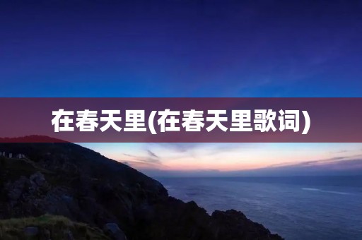在春天里(在春天里歌词)