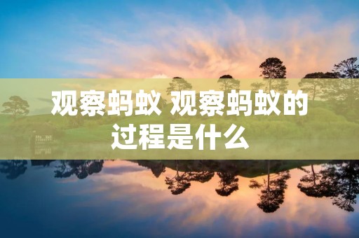 观察蚂蚁 观察蚂蚁的过程是什么