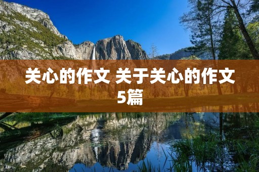 关心的作文 关于关心的作文5篇