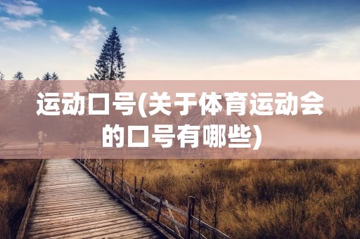 运动口号(关于体育运动会的口号有哪些)
