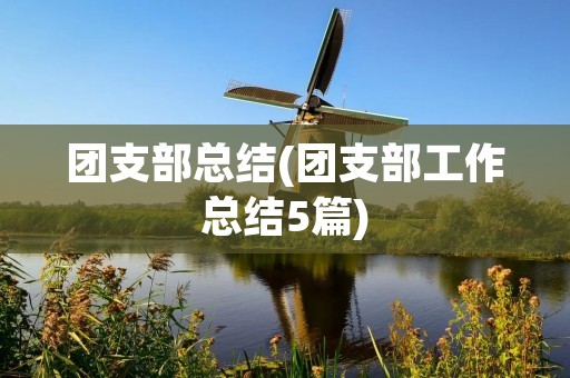 团支部总结(团支部工作总结5篇)
