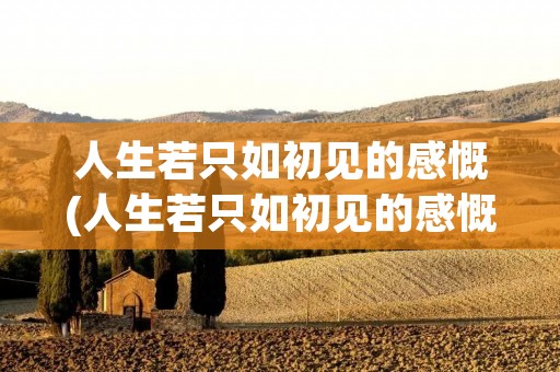 人生若只如初见的感慨(人生若只如初见的感慨无论爱情友情) 人生若只如初见的感慨(人生若只如初见的感慨无论爱情友情)