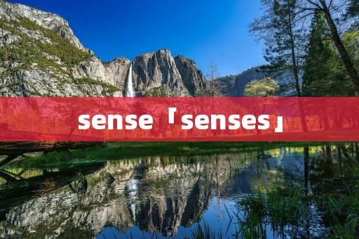 sense「senses」 sense「senses」