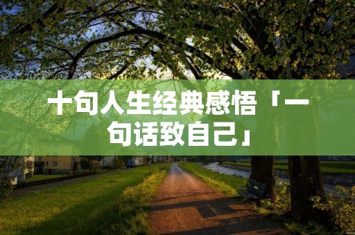 十句人生经典感悟「一句话致自己」