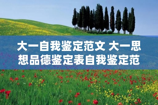 大一自我鉴定范文 大一思想品德鉴定表自我鉴定范文(四篇)